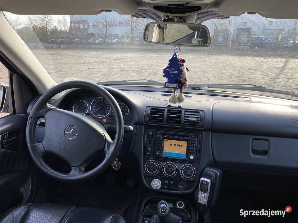 Czarny Menel idealny w teren Warszawa