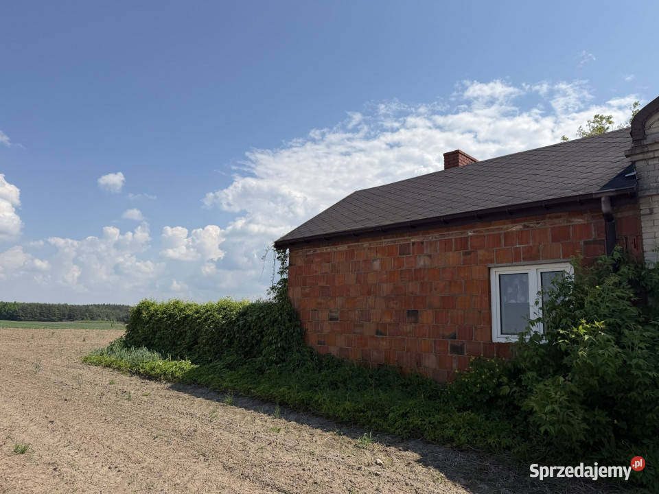 Siedlisko z lasem i łąką Zawady gm Kampinos Rok budowy 20001960 mazowieckie sprzedam