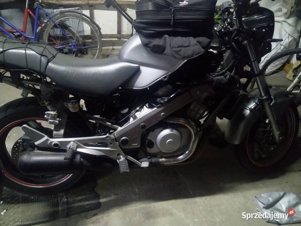 Honda developer 650 80000km Łuków