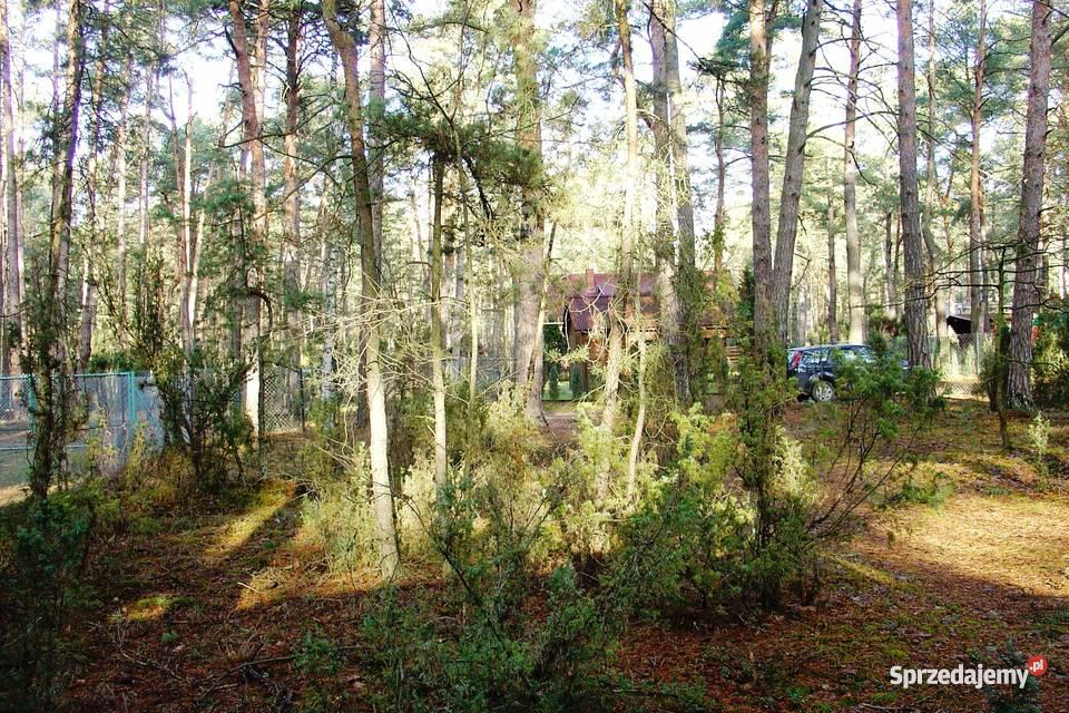 działkę budowlaną w Popowie kSerocka Popowo-Parcele