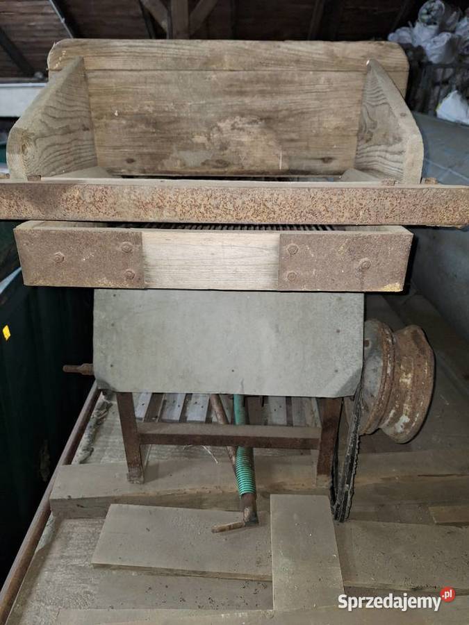 Sortownik do ziemniaków kartofli wielkopolskie Słupca