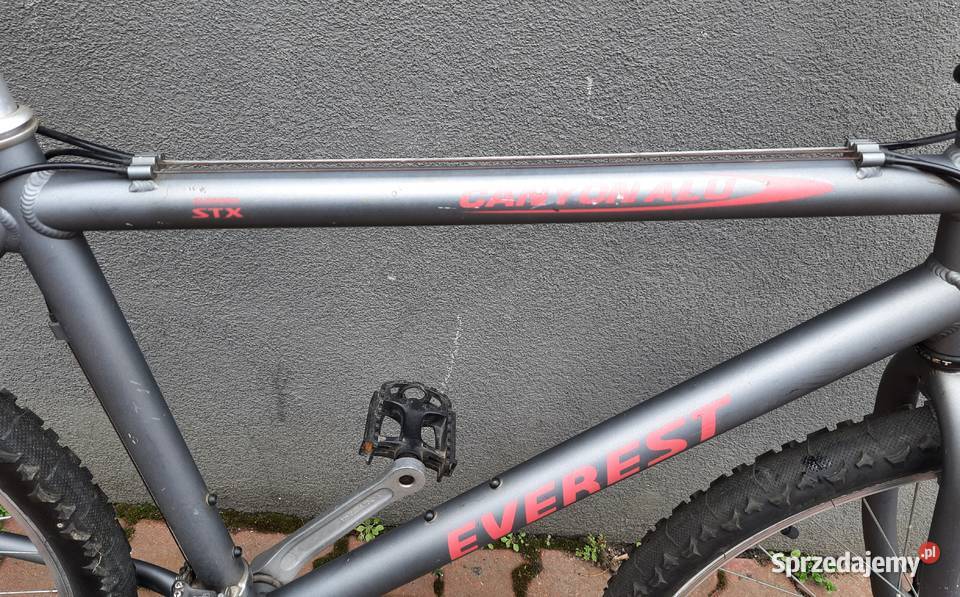 Rower EVEREST Canyon Alu rama 50 koło 26 Dębica