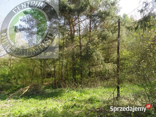 Grunt 13400m2 RoztokaBrzeziny małopolskie Roztoka-Brzeziny