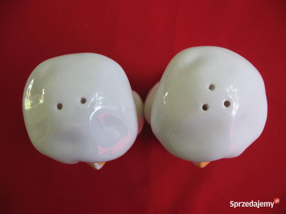 Sól i pieprz Kurczaki Solniczka i pieprzniczka wielokolorowy Siedlce