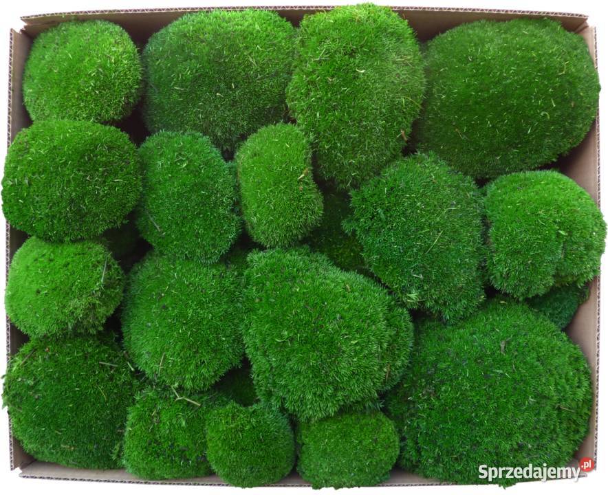 Mech Poduszkowy PREMIUM Dark Green 600g