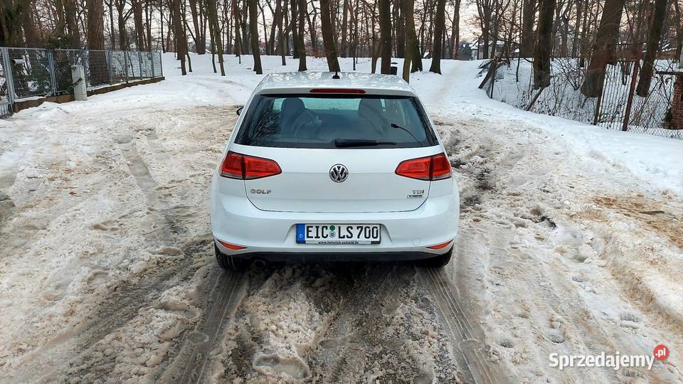100 Bezwypadkowy Oryginalny lakier Nowy 110KM Puławy