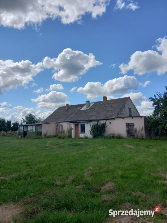 Dom 160m z działką 3700m w mieszkania Okazja 3700m2 Wysoka Krajeńska