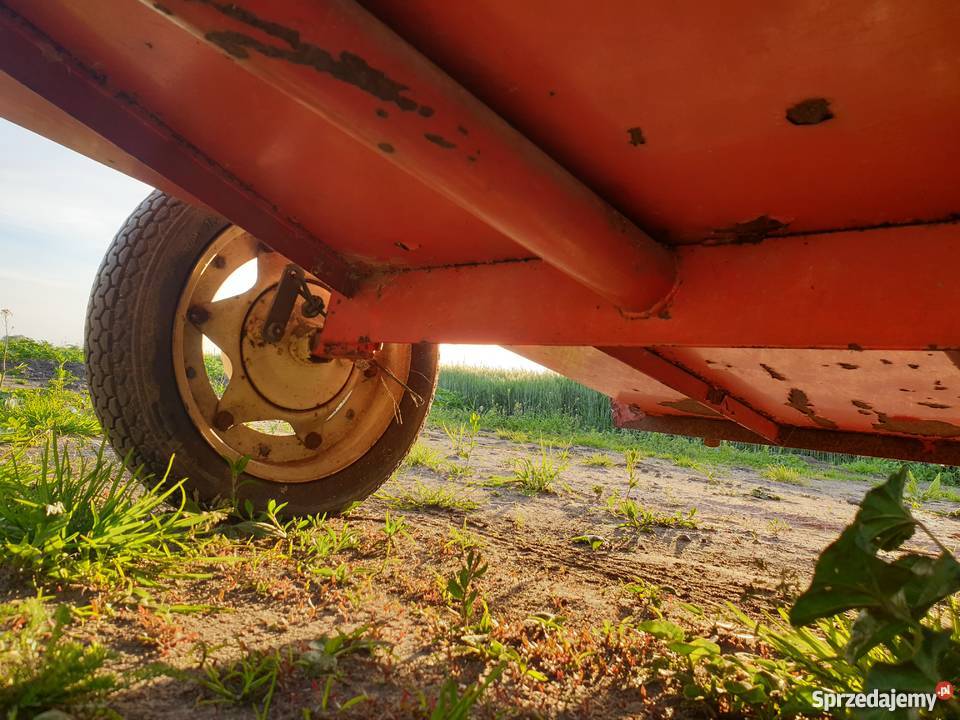 Przyczepka do Dzika Terra Vari Środa Wielkopolska sprzedam