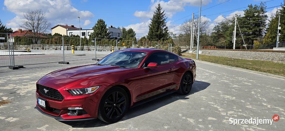 Ford Mustang 37 Automat 306 mazowieckie Książenice