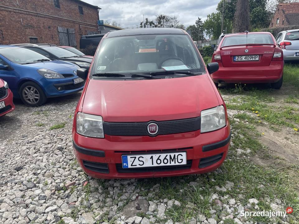 Wynajem Wypożyczalnia aut Fiat panda Szczecin