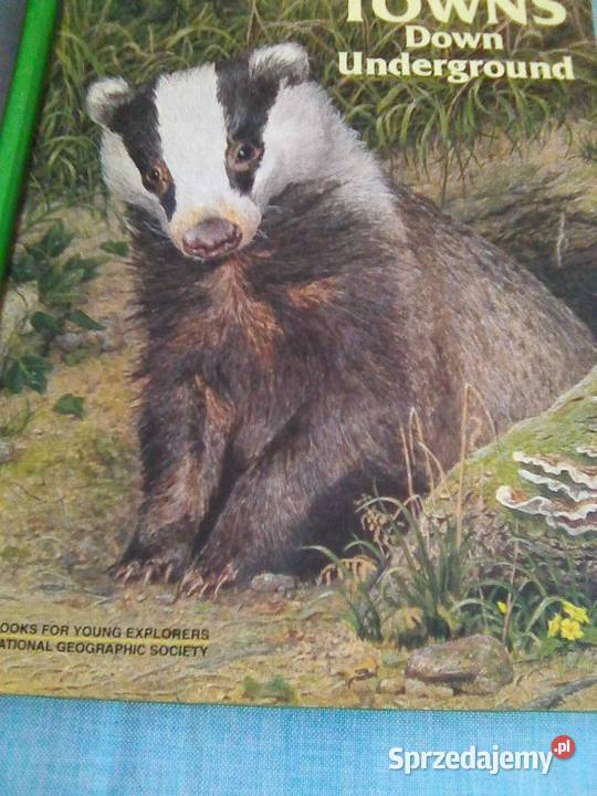 National Geographic Society mazowieckie Warszawa