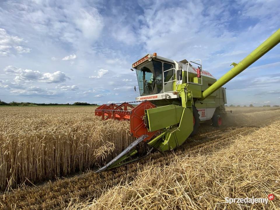 claas dominator 98sl nieuszkodzony Radziejów