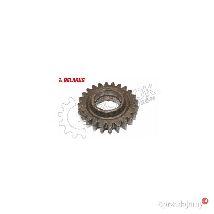 Koło zębate mtz 50 z24 oryginał Parczew