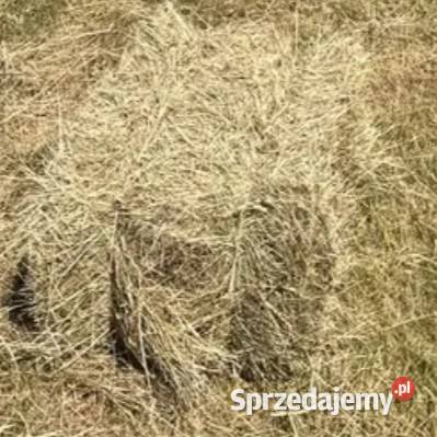 Sprzedam siano małopolskie Myślenice