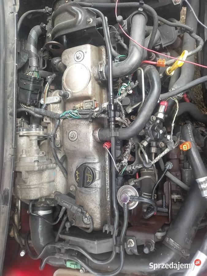 Silnik ford focus c mondeo 18 tdci oznaczenie Piotrków Trybunalski sprzedam
