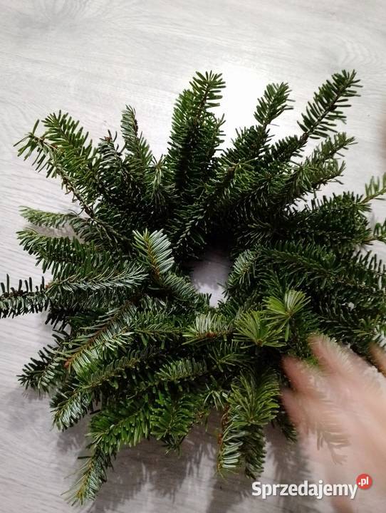 Wianki Bożonarodzeniowe różne zielony