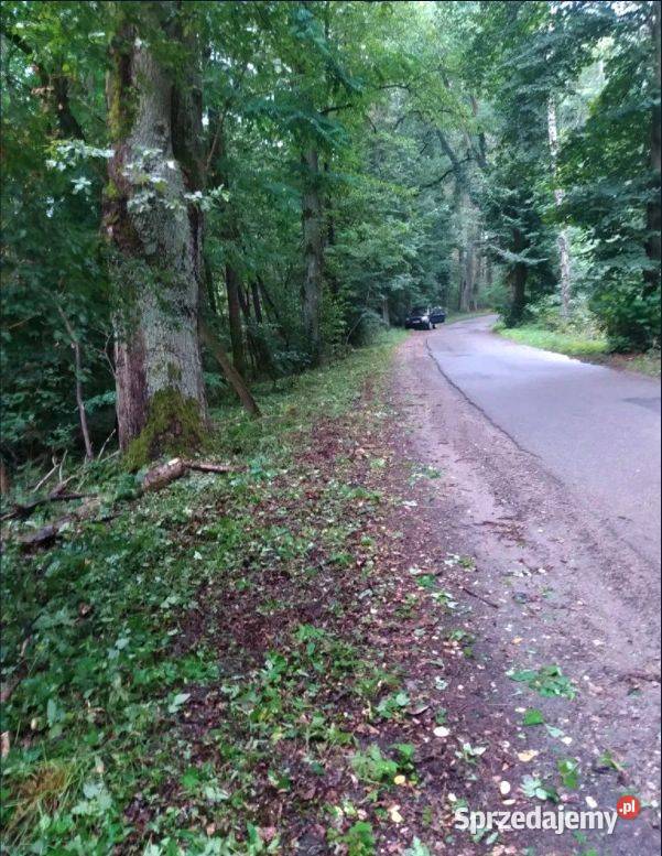 Działka budowlana drodze asfaltowej lubuskie Świbinki