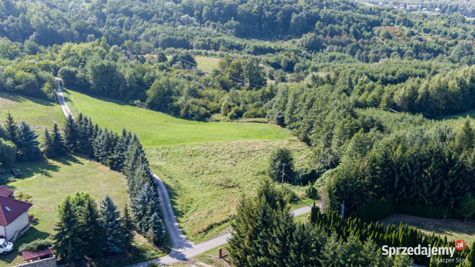 Na sprzedaż działka idealna pod winnice Sprzedaż Szczepanowice