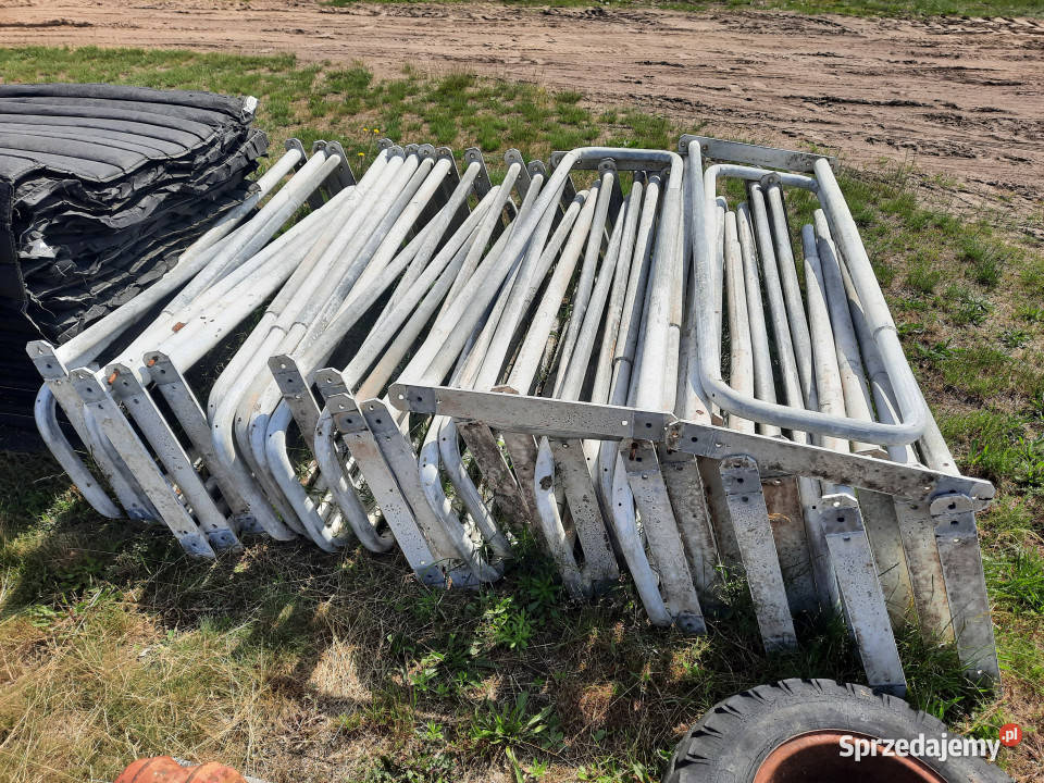 Wygrodzenia agrafki do obory bydła 19 sztuk 202