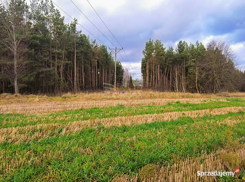 Wyjątkowe działki zalewem w Janowie Podlaskim asfalt Janów Podlaski sprzedam