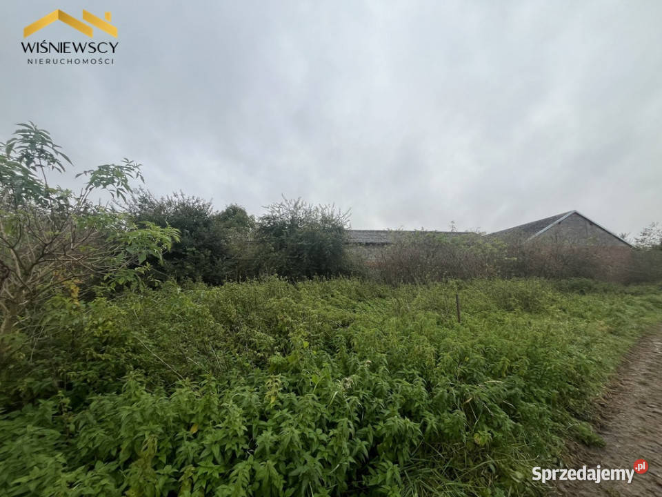 Działka z MPZP 1745 m z halą do adaptacjiKrólewo Królewo