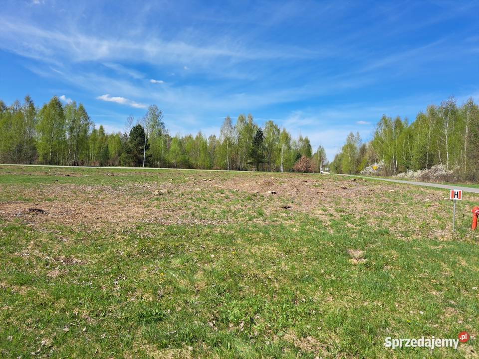 Działki budowlane Płucki 4640m2
