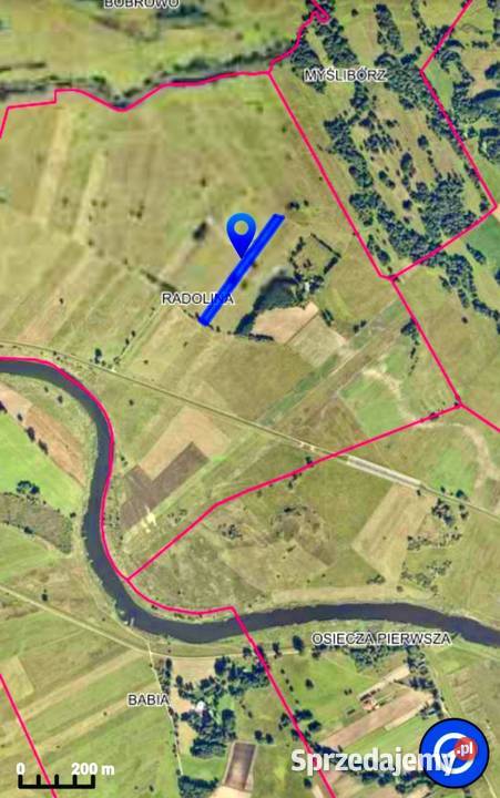 Działka rolna łąka Radolina gm Golina wielkopolskie