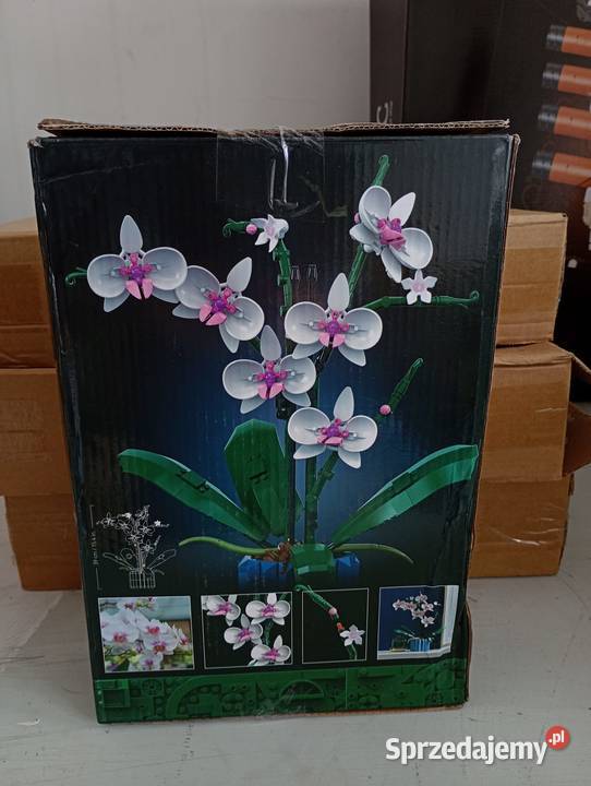 Zestaw Klocków Storczyk Orchidea Botanical Biała Podlaska
