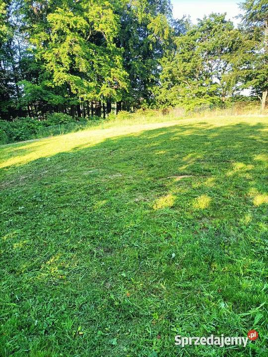 Działka ROD Gdansk Złota Karczma Przylesie 300m2