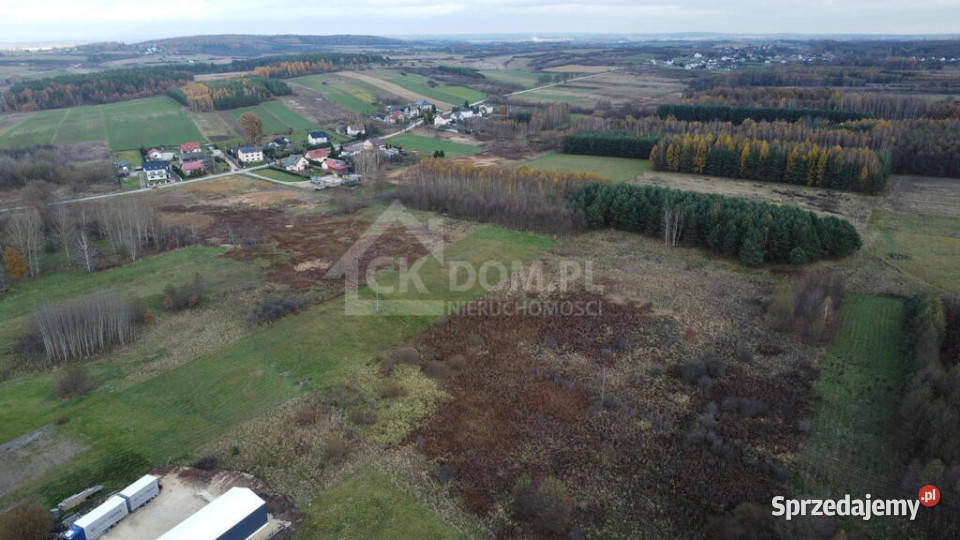 Działka 6500 m2 w Łukowej gm Chęciny Łukowa