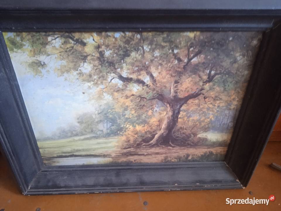 Obraz pt Samotne Drzewo Autora Redici Malarstwo sprzedam