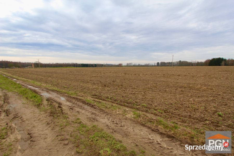 Grunt sprzedam Trzebiatów 3399m2