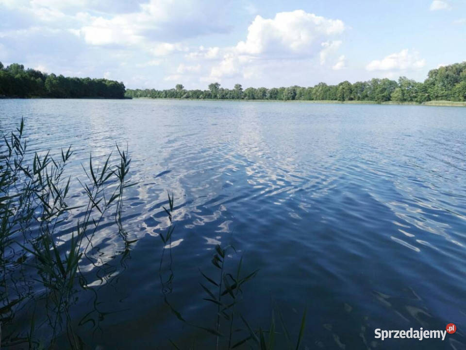Duże działki Jeziora Margonin budowlana wielkopolskie Sypniewo sprzedam