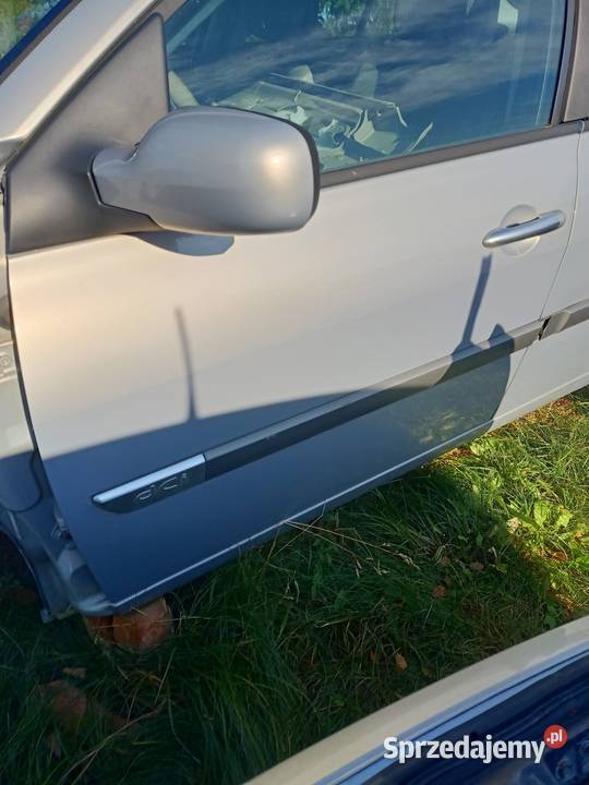 Drzwi lewy przód przednie renault Megane II Szczecin