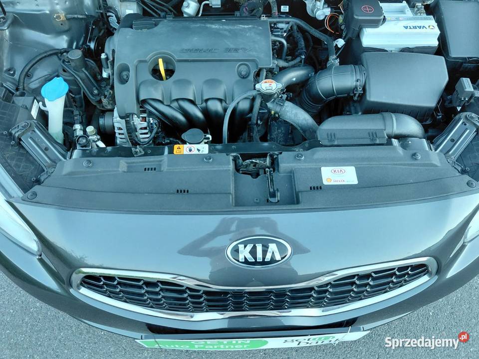 KIA CEED 2013R 14 16V 99 Przeb141 Navi Kamera Jelenia Góra