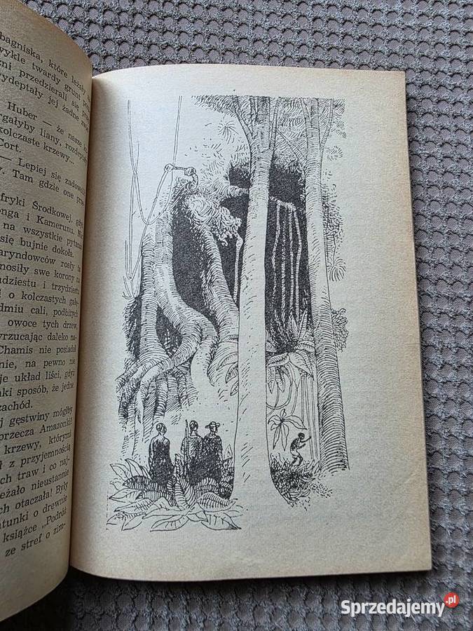 Juliusz Verne Napowietrza wioska małopolskie Kraków