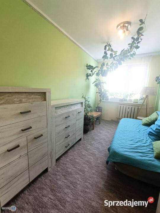 Mieszkanie 535m2 3pok Kielce