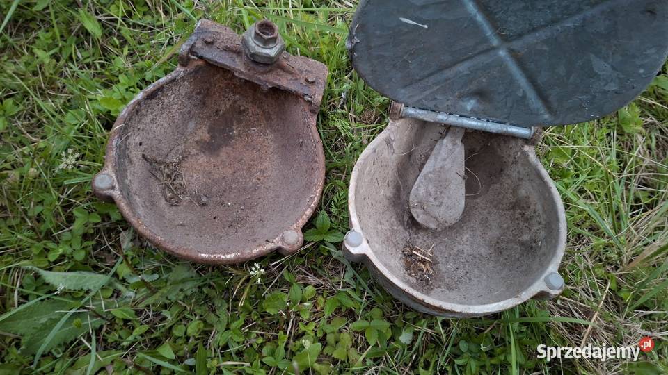 Poidła krów małopolskie