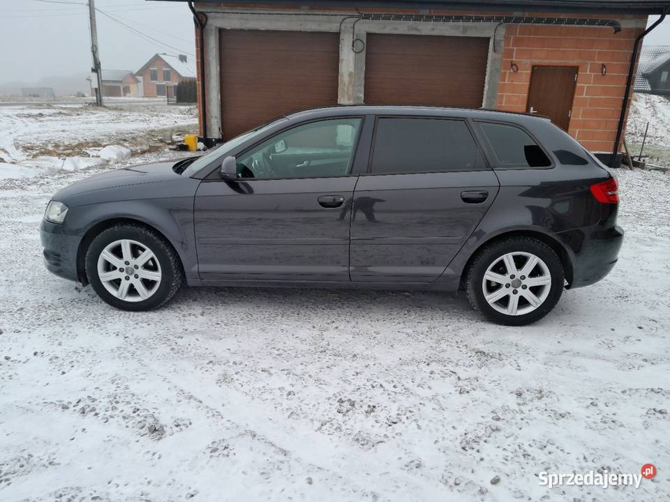 Audi A3 Sportback 8p Lift 20 TDI CR Xenon Led