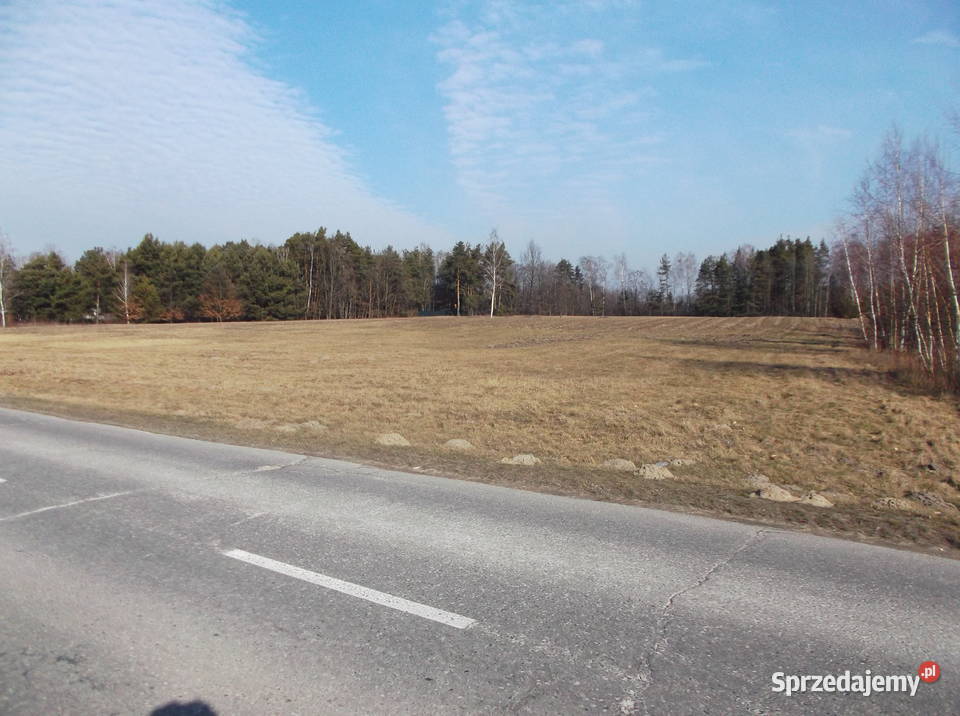 Budowlana ponad 2ha, Sierzchów gmina Góra Kalwaria.