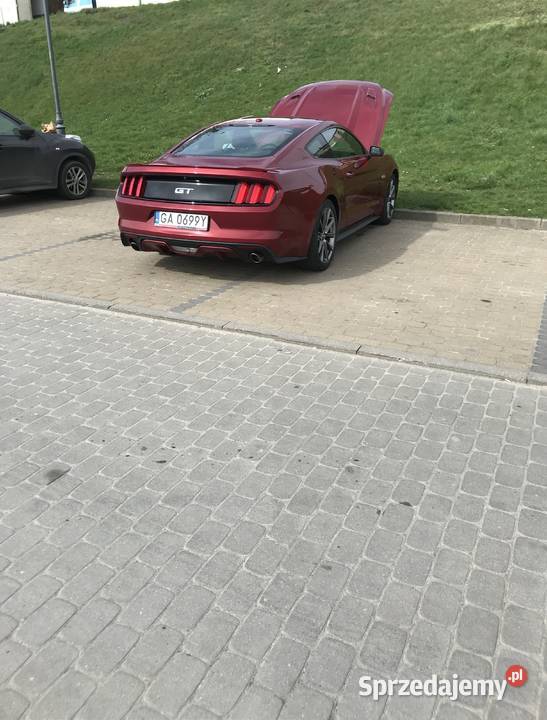 Mustang 2015 GT 50 Full wyposarzenie manualna Tczew sprzedam