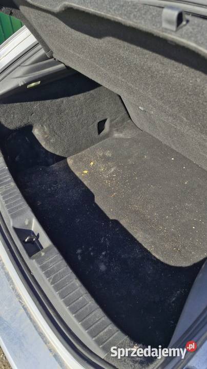 Tanie sprzątanie wnętrza auta Utrzymanie czystości wielkopolskie