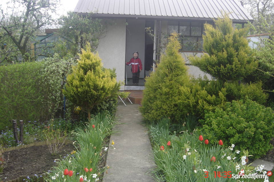 SPRZEDAM DZIAŁKĘ OGRODOWĄ GDYNIA OBŁUŻE Grunty i działki Gdynia sprzedam