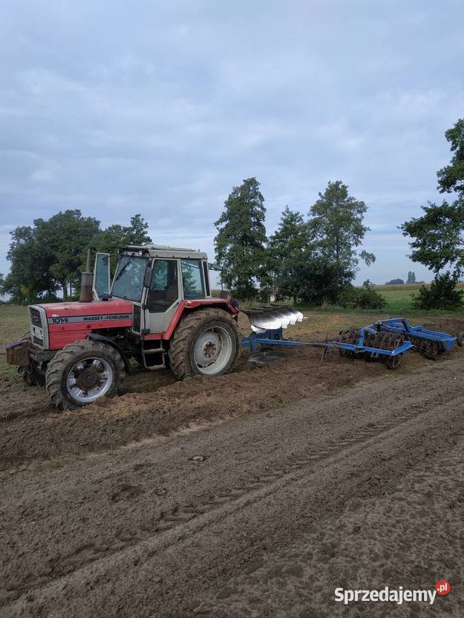 Massey ferguson 1014 Perkins 6 Bukówiec Górny sprzedam