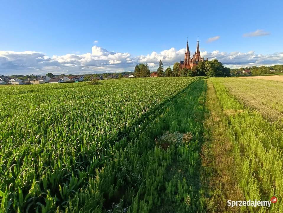Działki budowlane Baranowo k Ostrołęki 35m