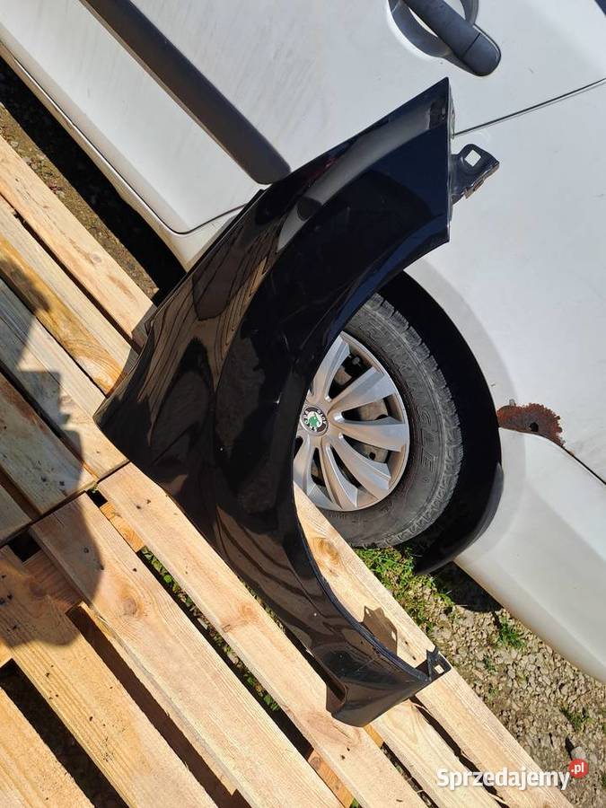 Ford Fiesta MK VII błotniki drzwi maska zderzaki śląskie Jastrzębie-Zdrój