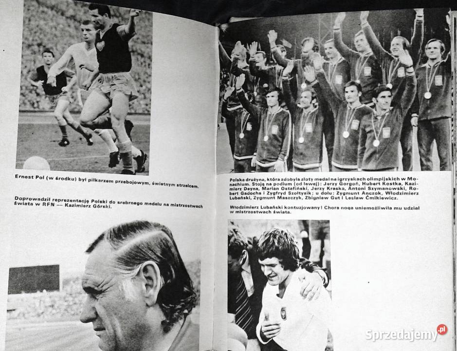 Iskier Przewodnik sportowy Red Krystyna Grzesik Pozostałe Chełm sprzedam