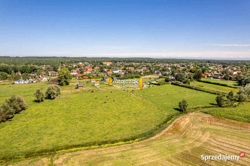 Sprzedaż gruntu 23900m Stegna asfalt