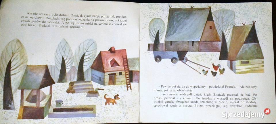 Znajdek Maria Terlikowska Chełm