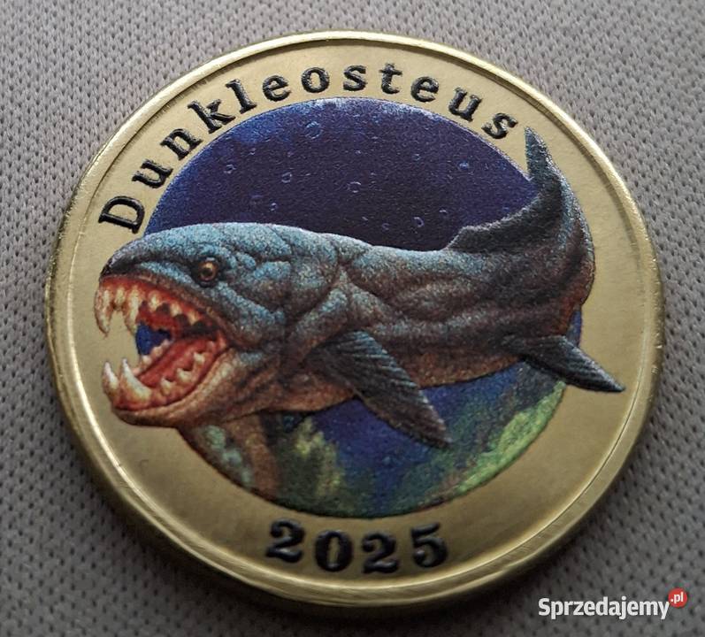 INDONEZJA ADONARIA7 2025 r DUNKLEOSTEUS KOLOR